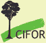 CIFOR